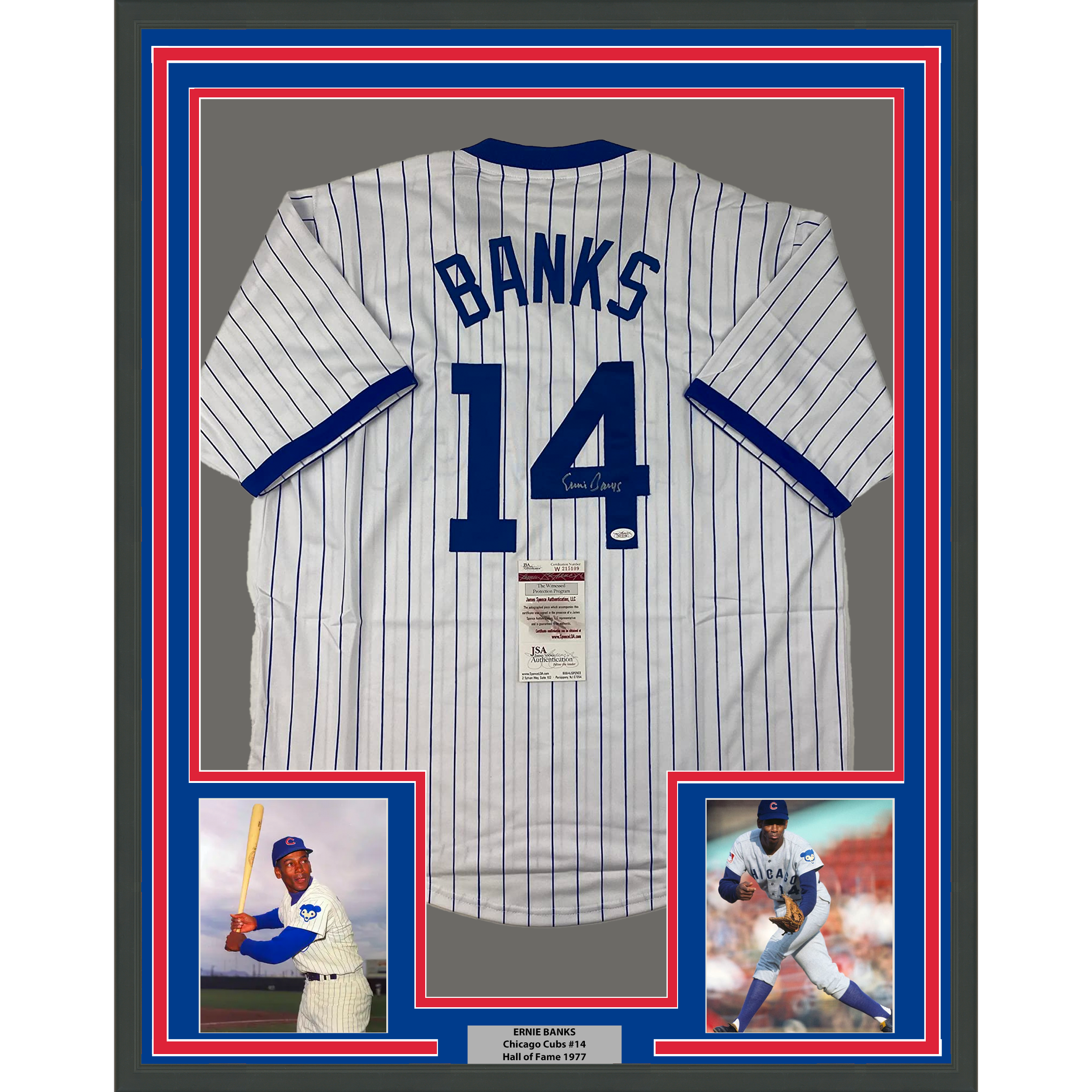 Framed Autographed/Signed Ernie Banks 35x39 Chicago Pinstripe Baseball Jersey JSA COA