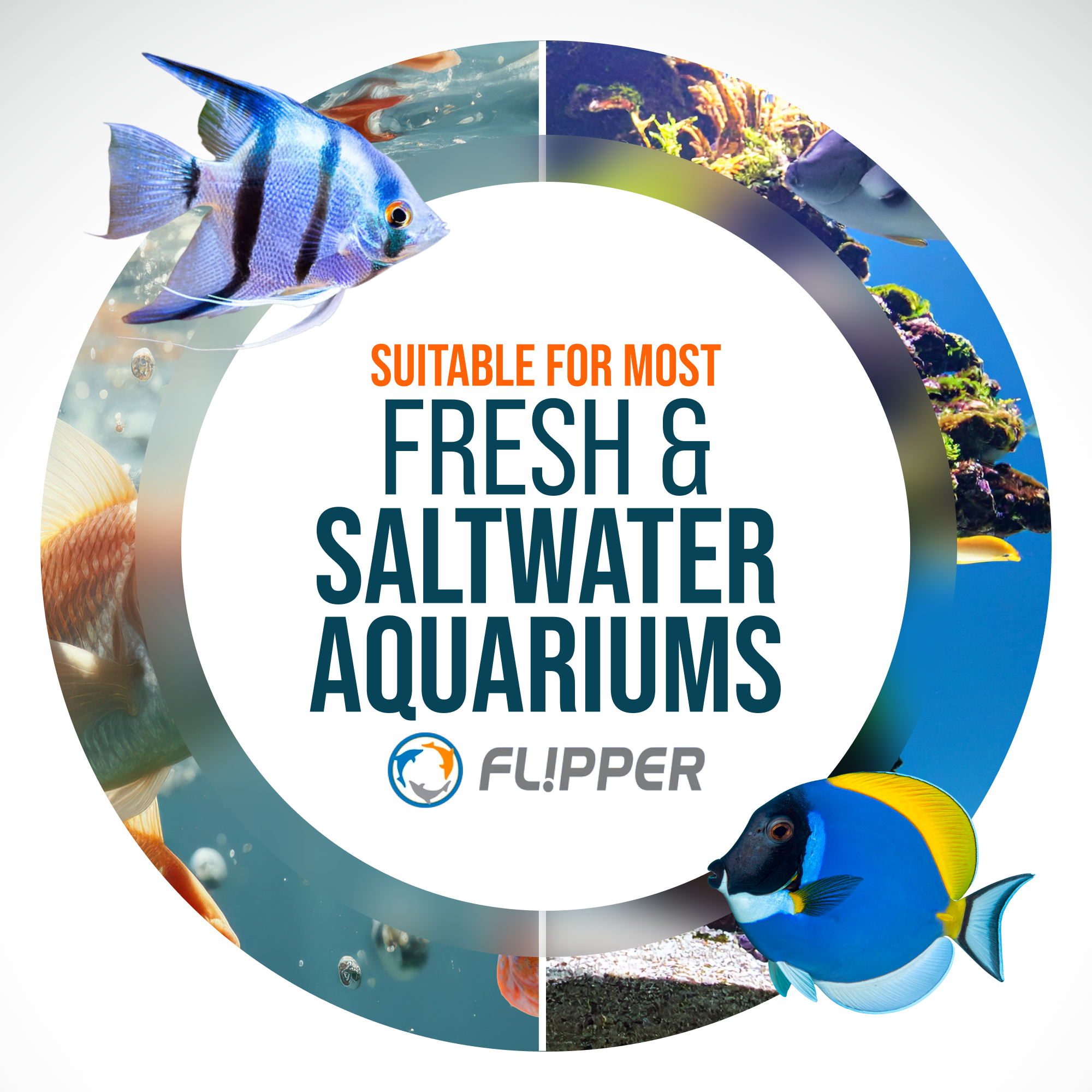 Flipper Platinum Aquarium Algae Scraper - 18"