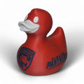 Florida Panthers Duck