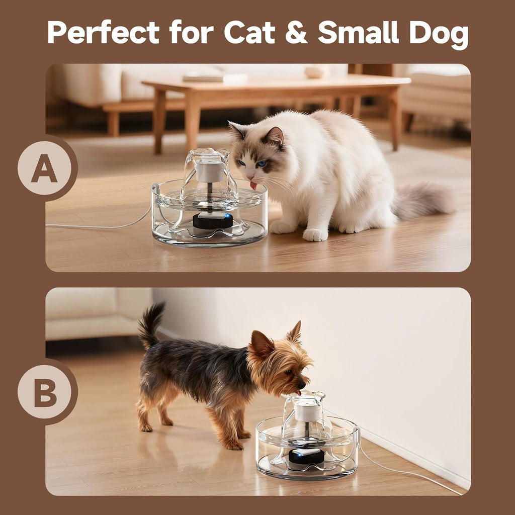 Glass Cat Water Fountain – 2.7L, Ultra Quiet, BPA-Free, Auto Pump