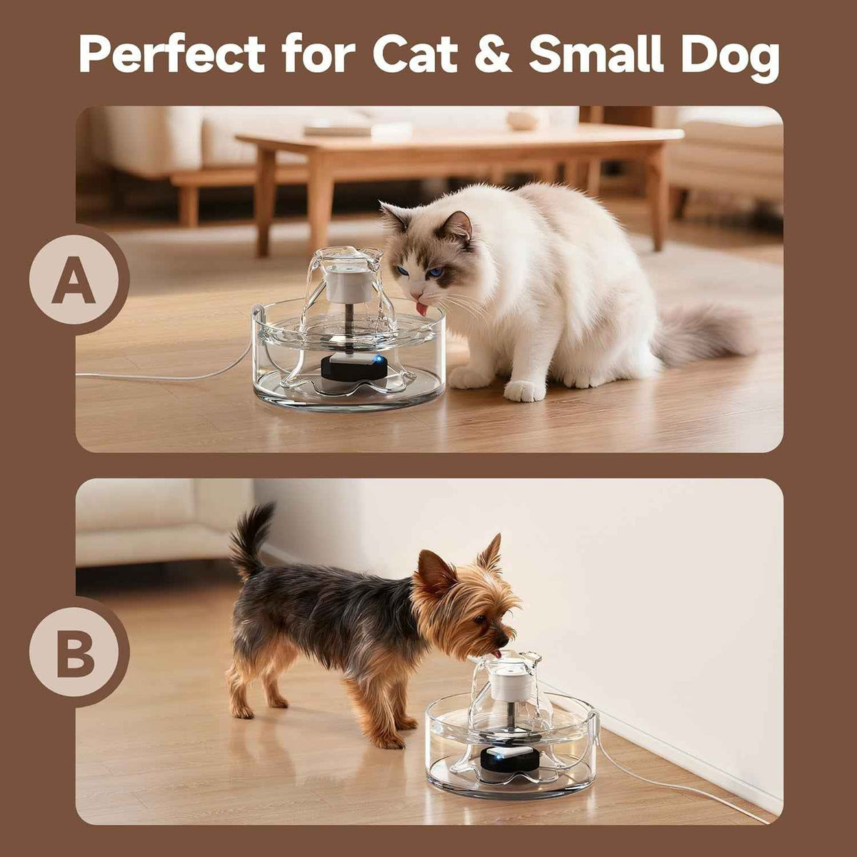 Glass Cat Water Fountain 2.7L Ultra Quiet BPA-Free
