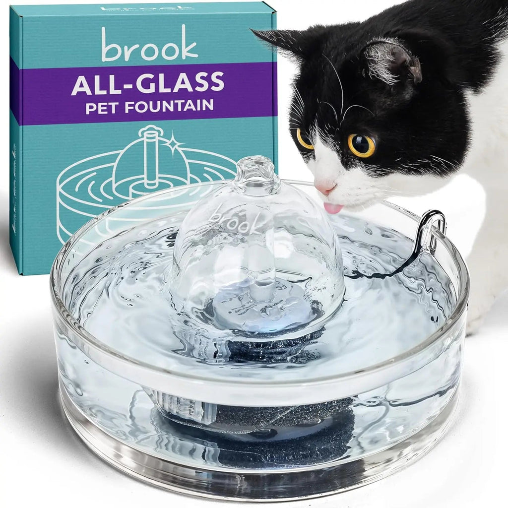 Glass Pet Water Fountain for Cats & Small Dogs