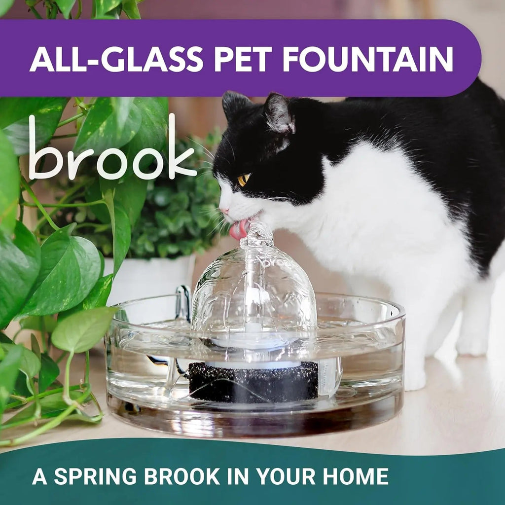 Glass Pet Water Fountain for Cats & Small Dogs