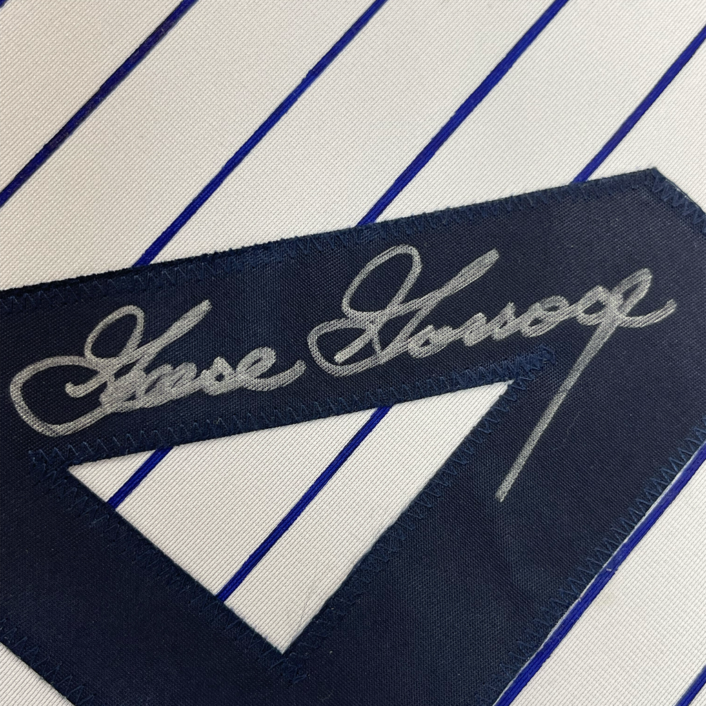 Framed Autographed/Signed Goose Gossage 35x39 New York Pinstripe Baseball Jersey JSA COA