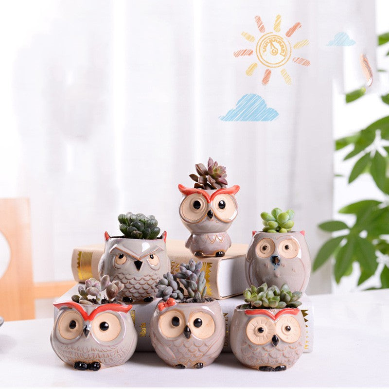 Ceramic Owl Planters Natural –  Air Plant Pots with Live Air Plants