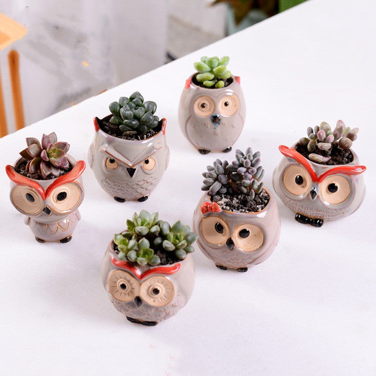 Ceramic Owl Planters Natural –  Air Plant Pots with Live Air Plants
