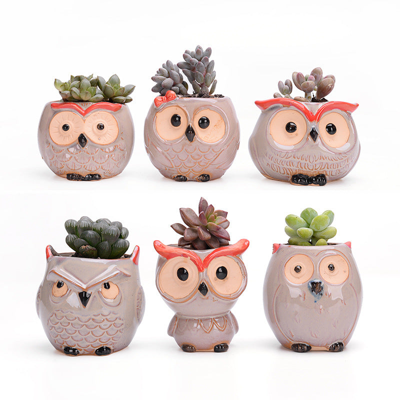 Ceramic Owl Planters Natural –  Air Plant Pots with Live Air Plants