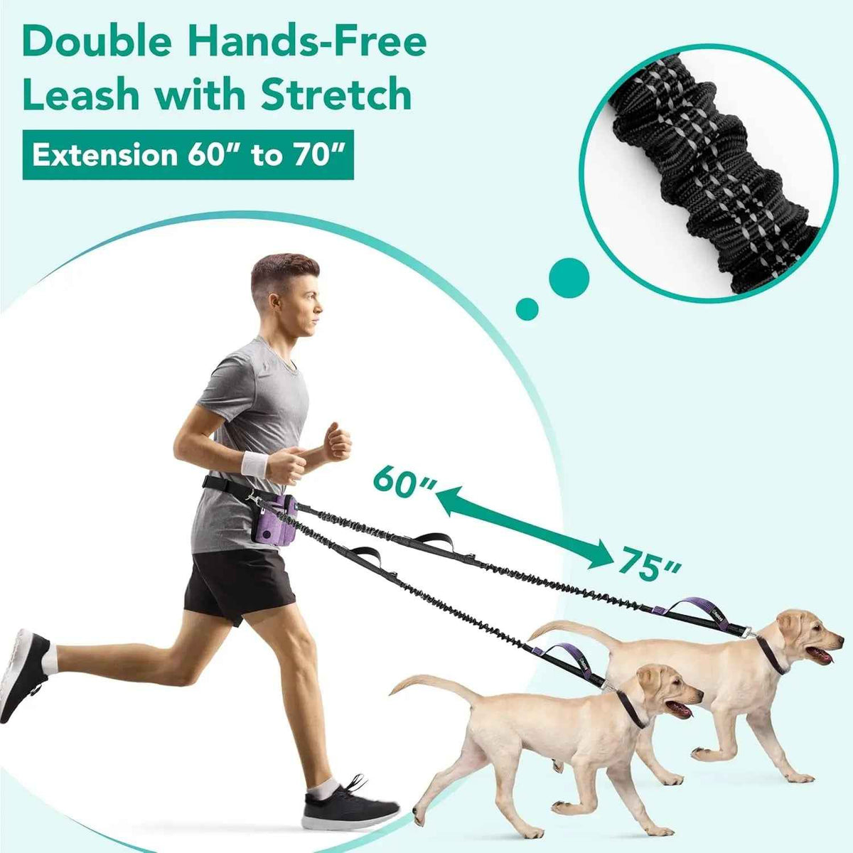 Hands Free Dog Leash Dual Bungee Waist Belt for 2 Dogs
