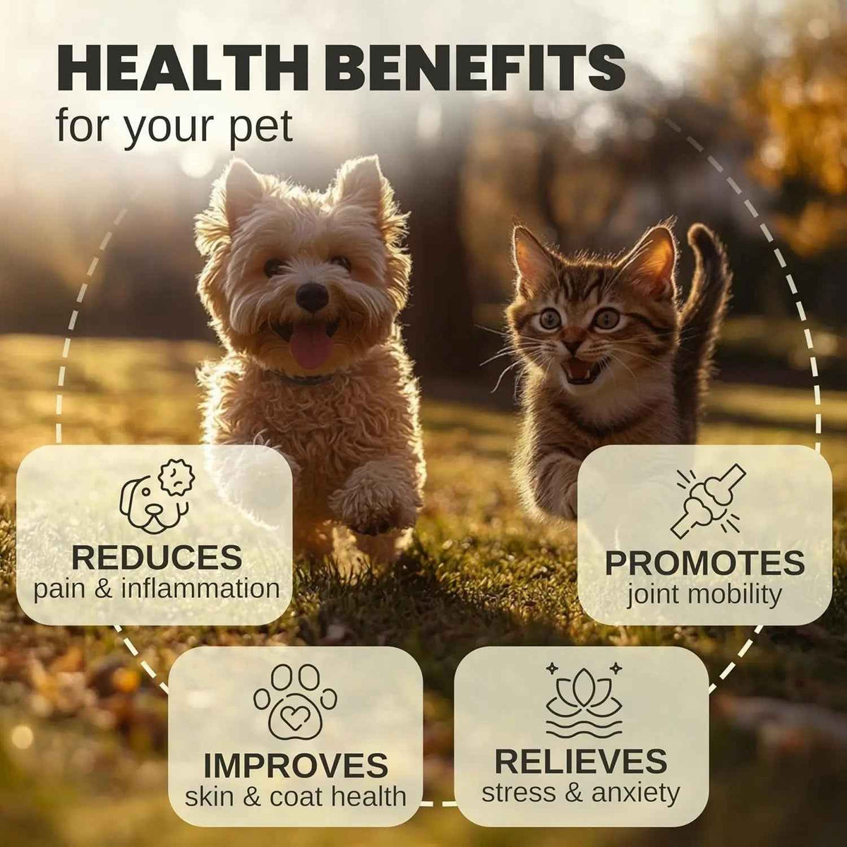 Hemp Oil Calming Drops for Dogs & Cats