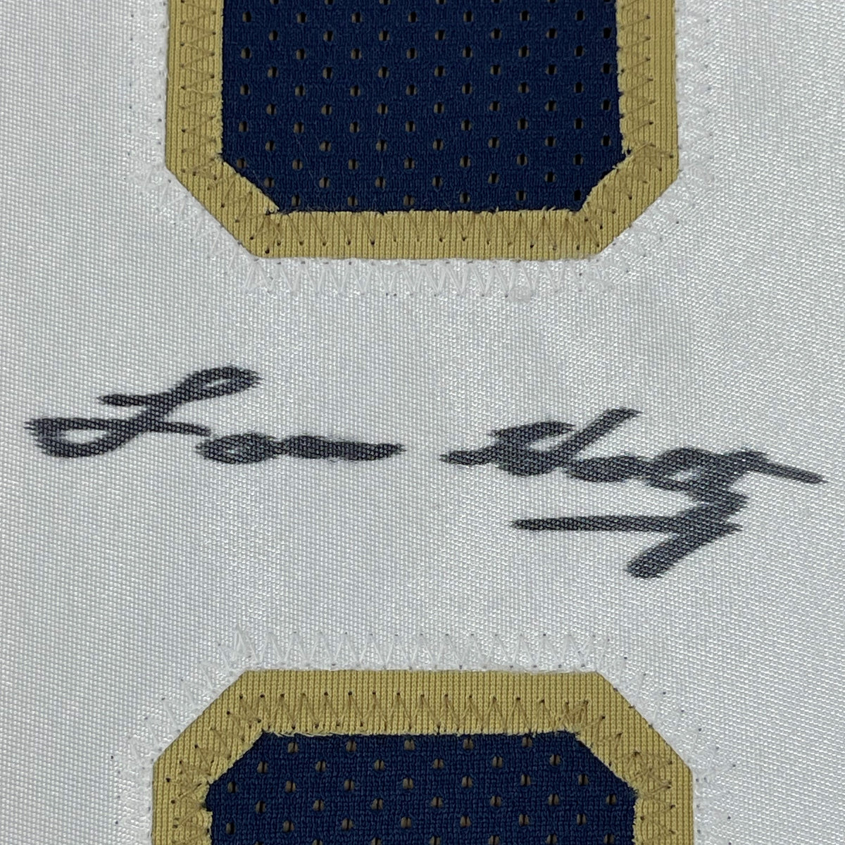 Framed Autographed/Signed Lou Holtz 35x39 Notre Dame Blue College Football Jersey JSA COA
