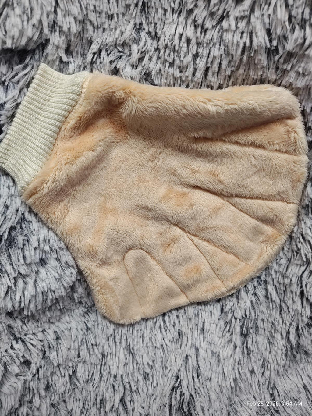 Small Pet Bonding Mitt – Non-Bite Comfort by PNC Family FInds
