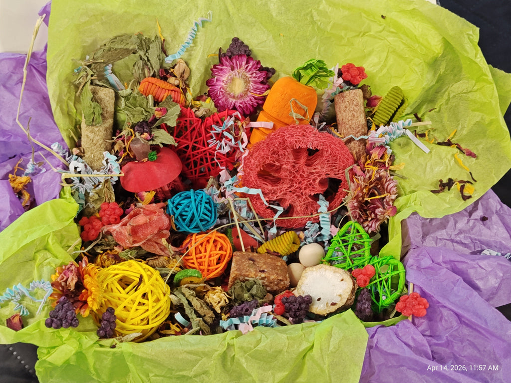 Ultimate Toy, Chew Treat box for Guinea Pigs, Chinchillas, Rabbits