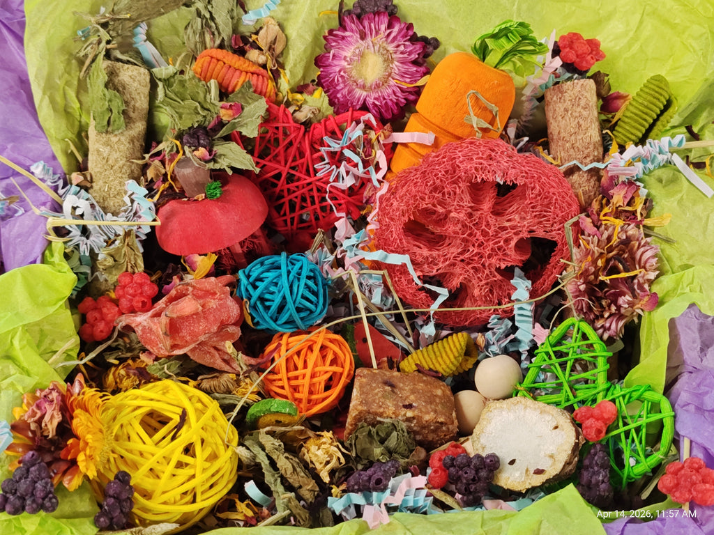 Ultimate Toy, Chew Treat box for Guinea Pigs, Chinchillas, Rabbits