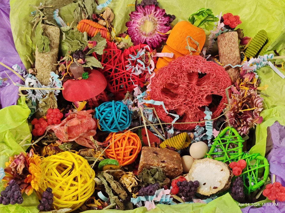 Ultimate Toy, Chew Treat box for Guinea Pigs, Chinchillas, Rabbits