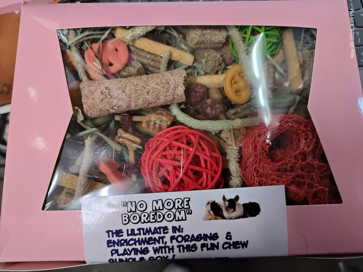 Ultimate Toy, Chew Treat box for Guinea Pigs, Chinchillas, Rabbits