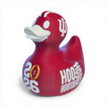 Indiana Hoosiers Championship Duck
