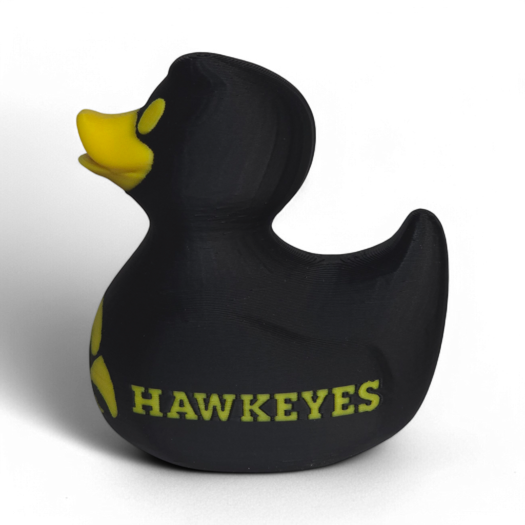 Iowa Hawkeyes Duck