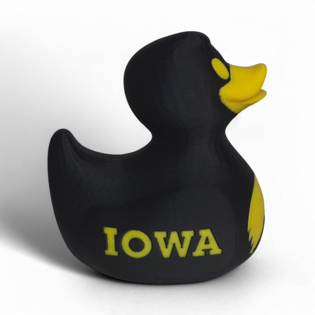 Iowa Hawkeyes Duck