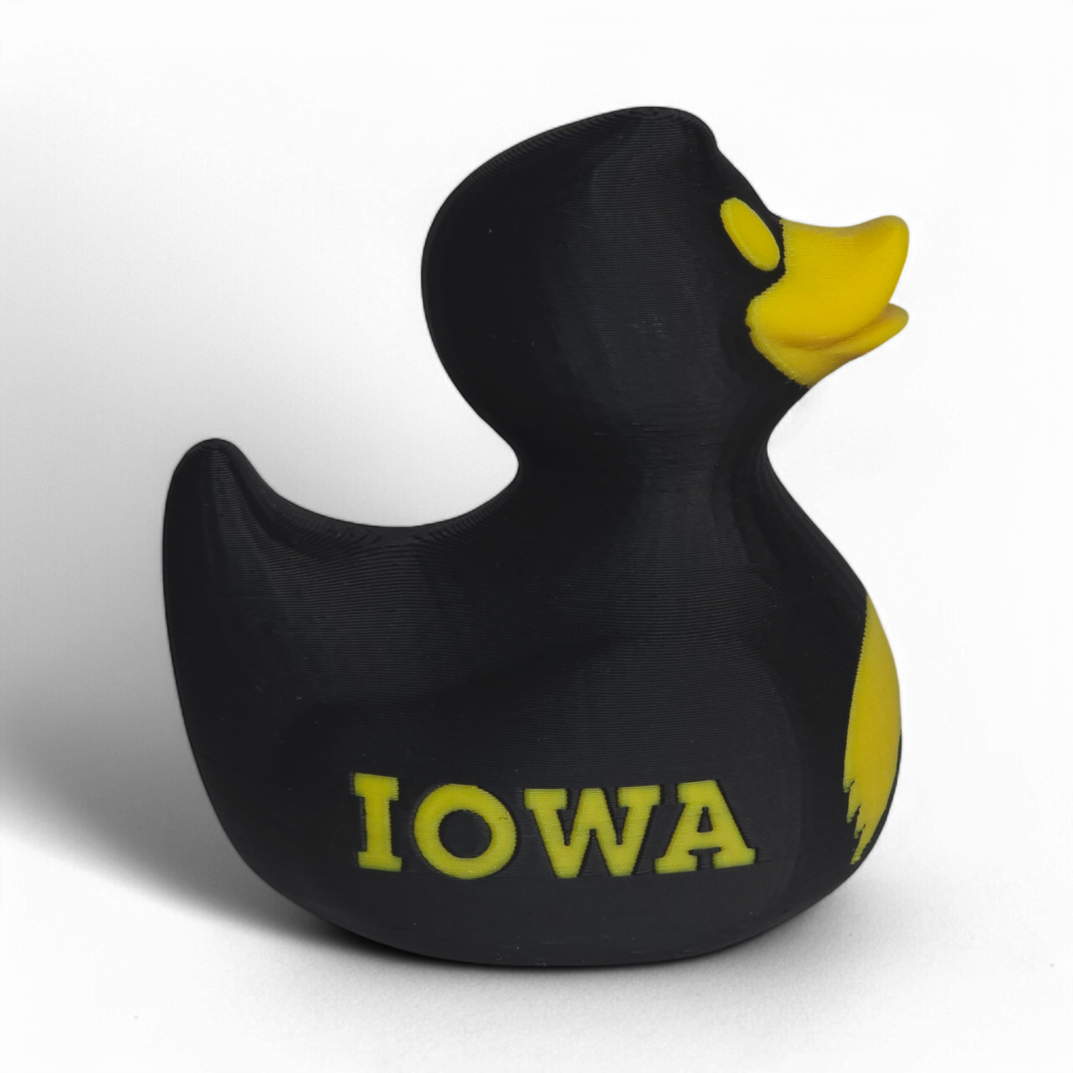 Iowa Hawkeyes Duck