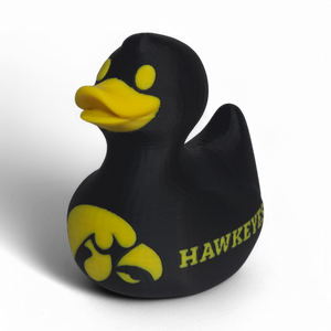Iowa Hawkeyes Duck