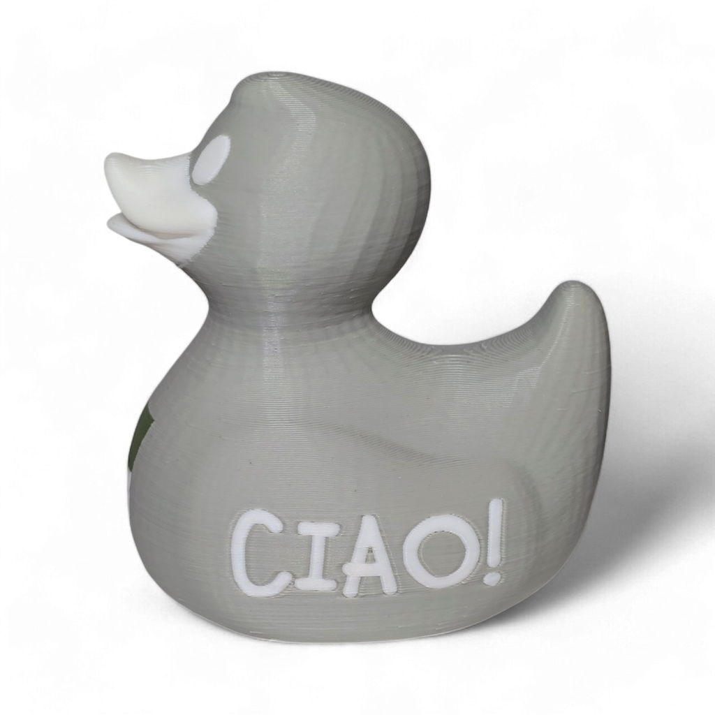 Italy Duck