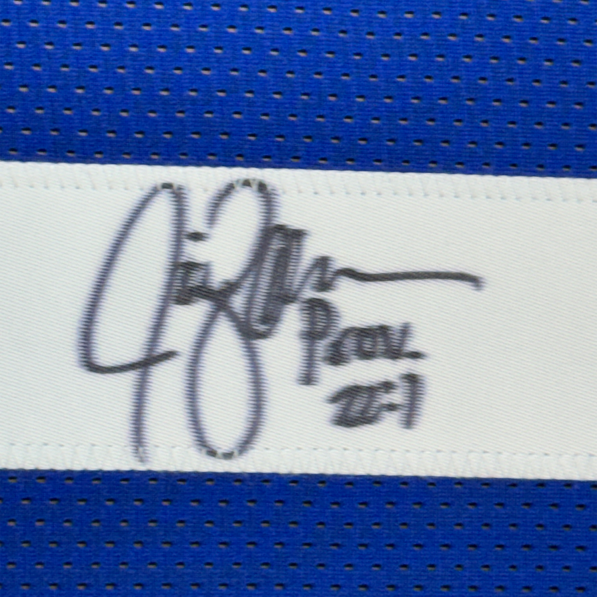 Framed Autographed/Signed Jim Zorn 35x39 Seattle Blue Football Jersey JSA COA