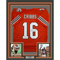 Framed Autographed/Signed Josh Cribbs 35x39 Cleveland Football Orange Jersey JSA COA