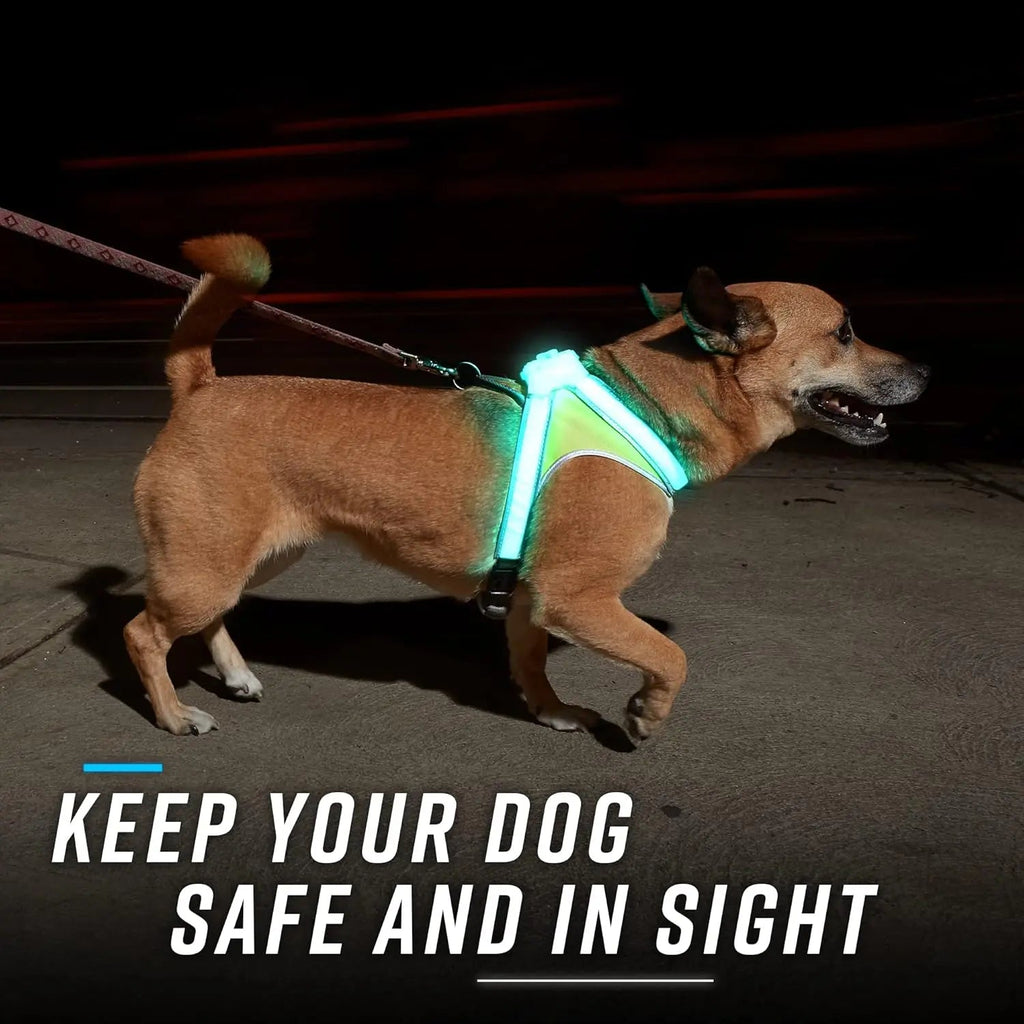LED Light-Up Dog Harness – USB Rechargeable Reflective Safety Vest