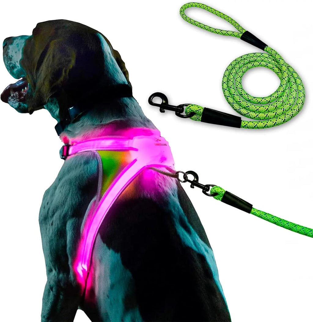 LED Light-Up Dog Harness – USB Rechargeable Reflective Safety Vest
