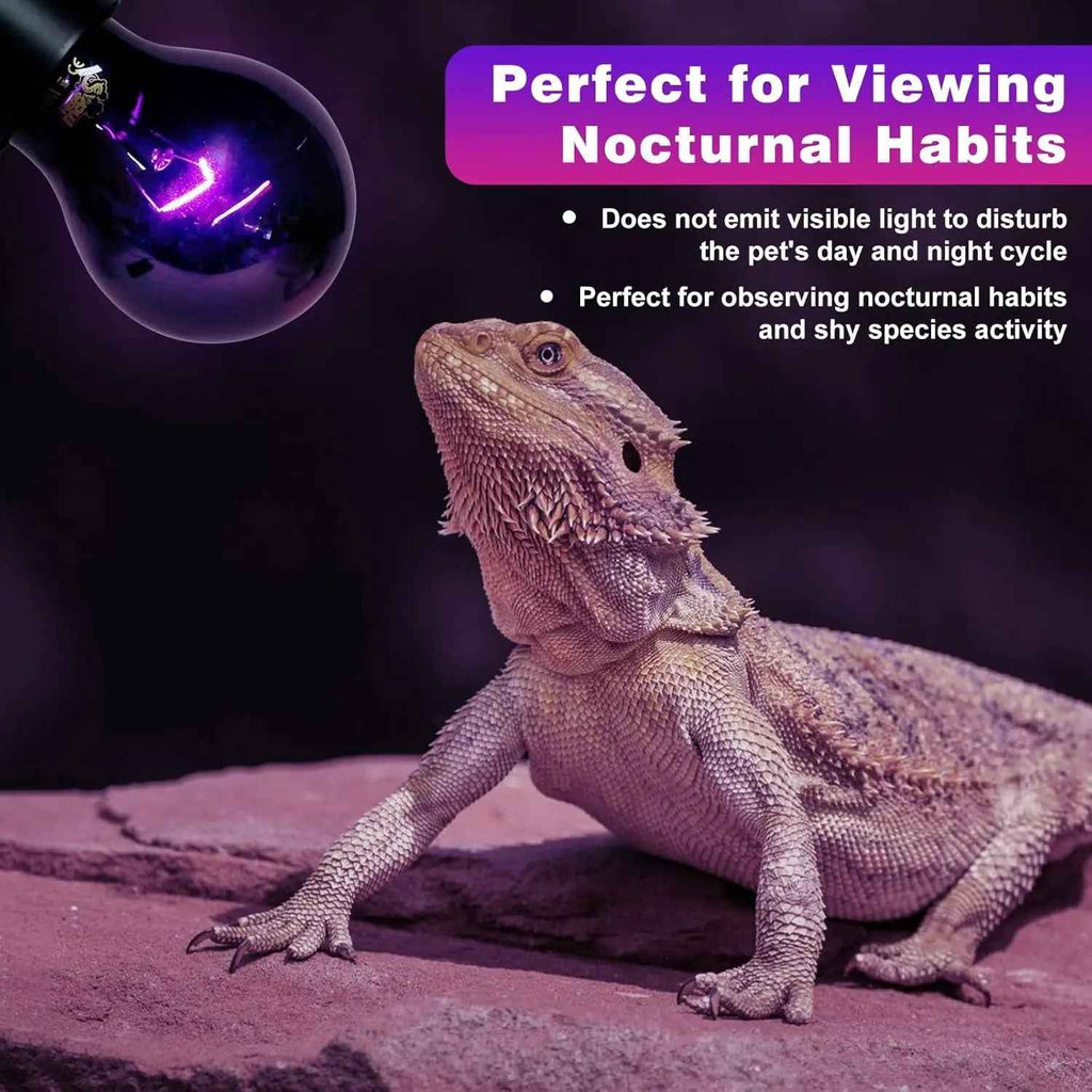 LUCKY HERP Reptile Night Heat Bulb 2 Pack 50W/75W UVA E26