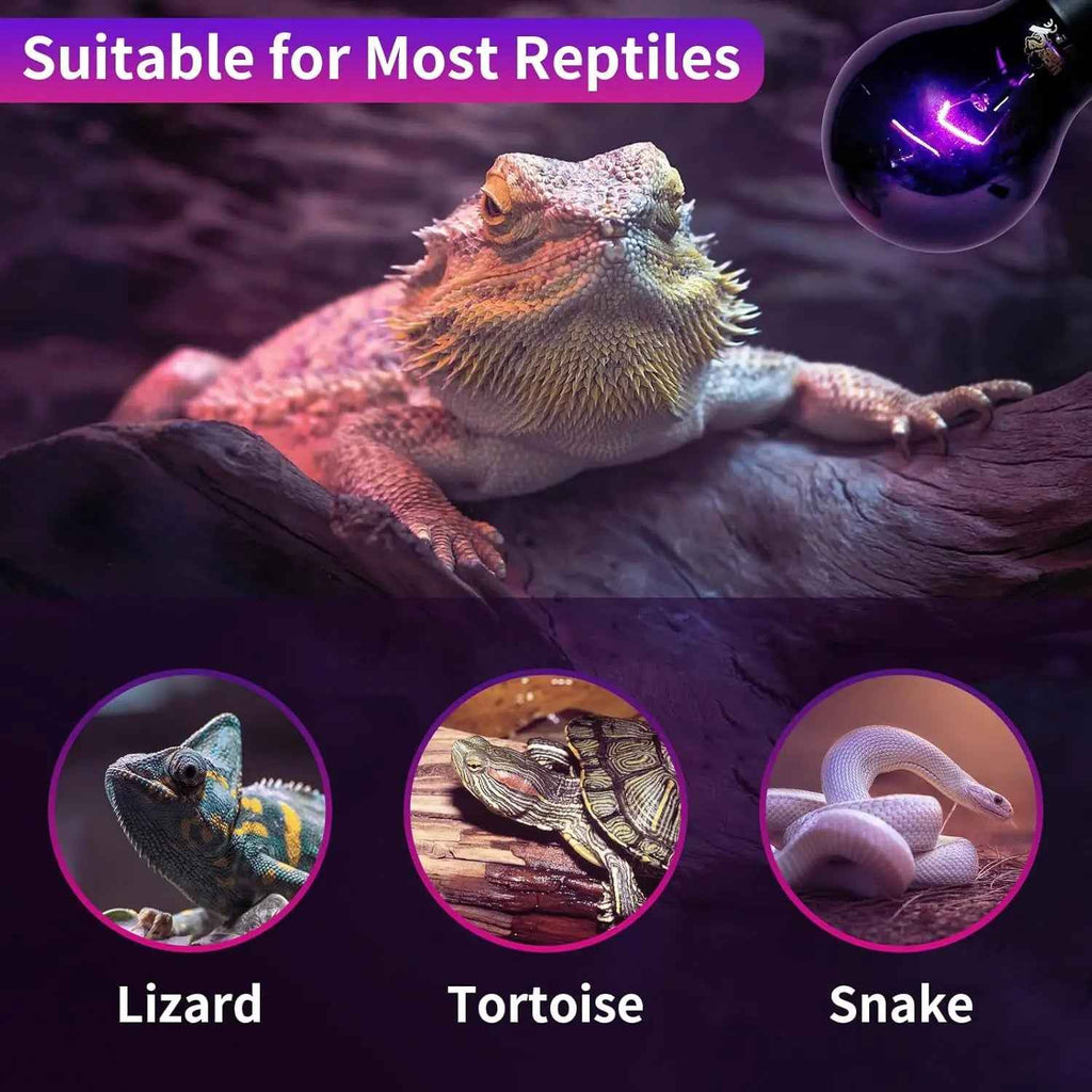 LUCKY HERP Reptile Night Heat Bulb 2 Pack 50W/75W UVA E26