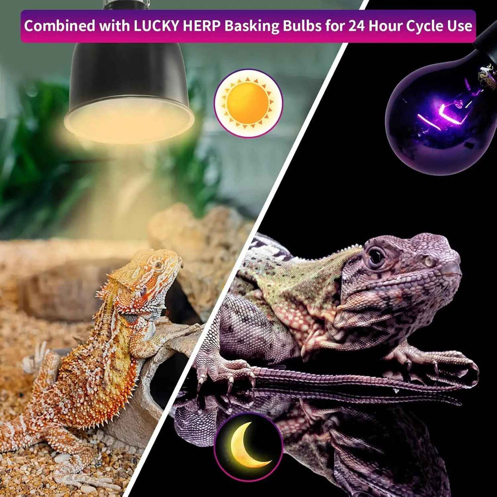 LUCKY HERP Reptile Night Heat Bulb 2 Pack 50W/75W UVA E26