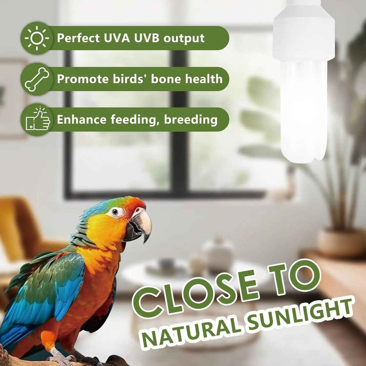 LUCKY HERP 20W UVA UVB Bird Bulb – Compact Fluorescent