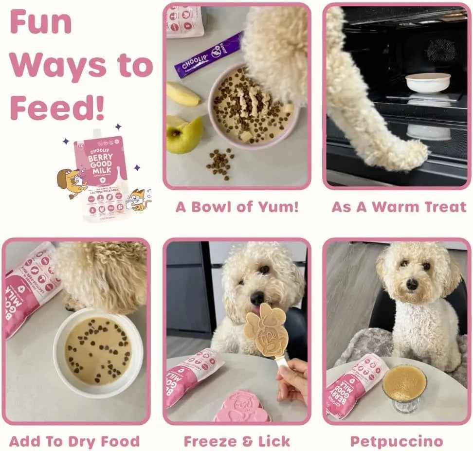 Lactose-Free Vitamin Milk for Cats & Dogs, 10-Pack Pet Nutrition Drink