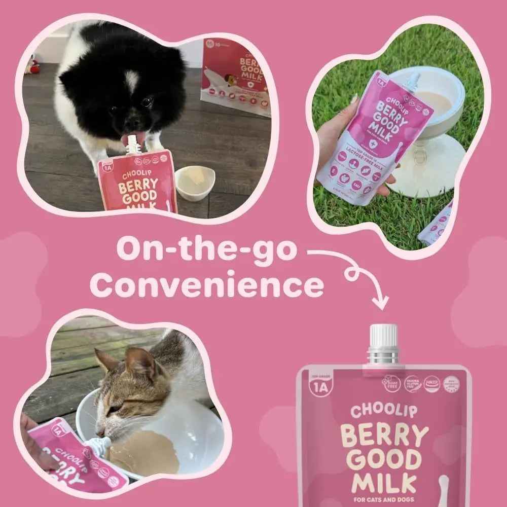 Lactose-Free Vitamin Milk for Cats & Dogs, 10-Pack Pet Nutrition Drink