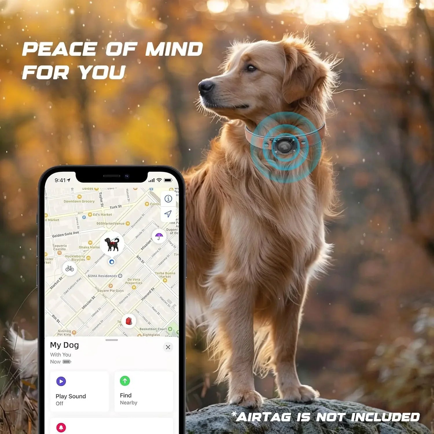 Leather AirTag Dog Collar with Built-In Holder