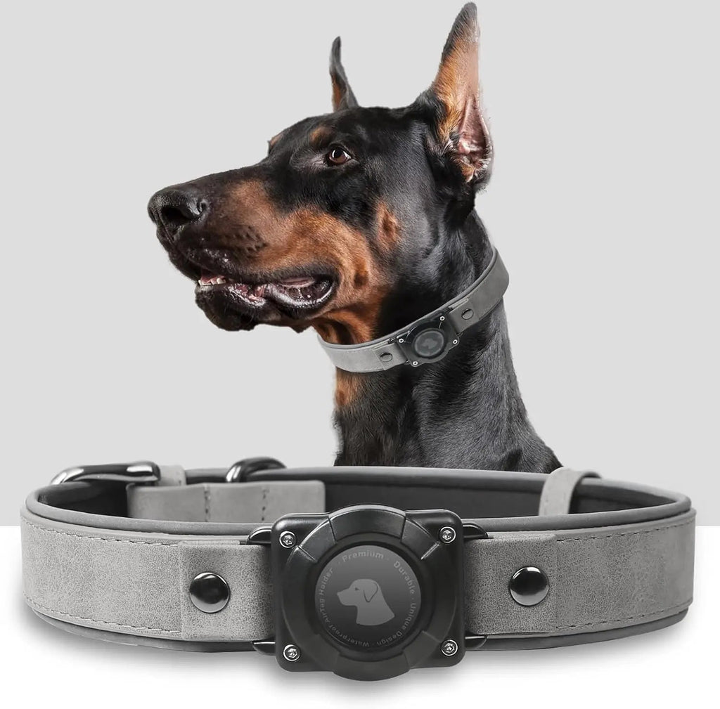Leather AirTag Dog Collar with Built-In Holder
