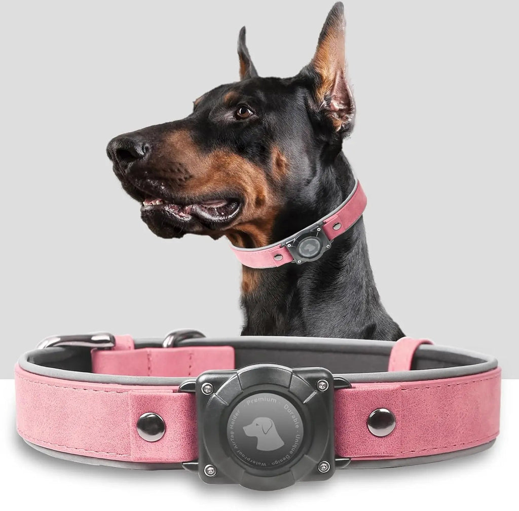 Leather AirTag Dog Collar with Built-In Holder