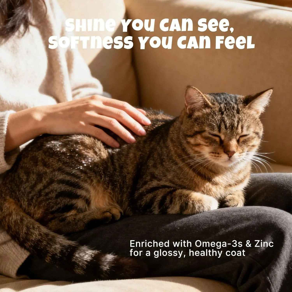 Lickable Cat Treats, Salmon Omega-3 Skin & Coat, Grain Free