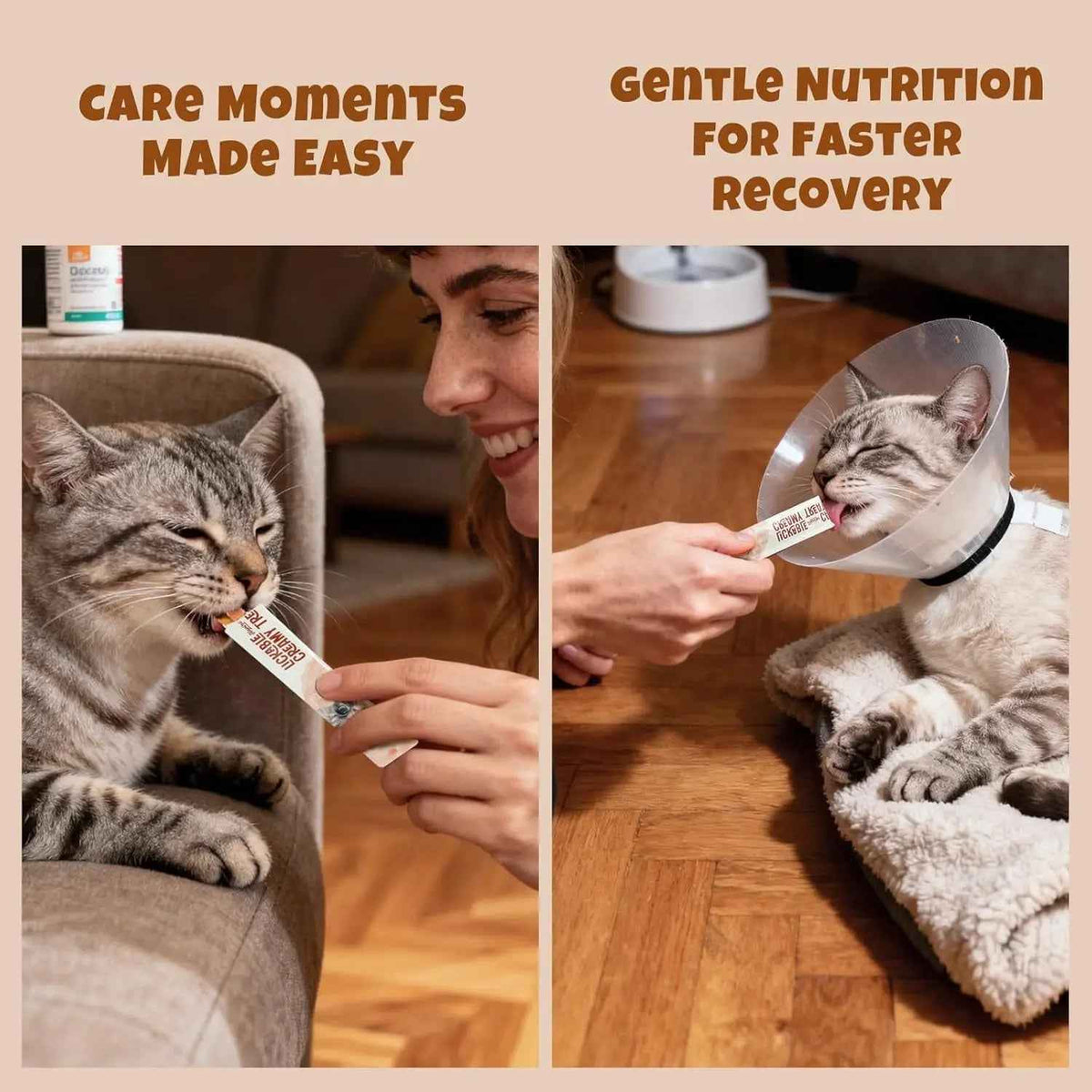 Lickable Cat Treats, Salmon Omega-3 Skin & Coat, Grain Free