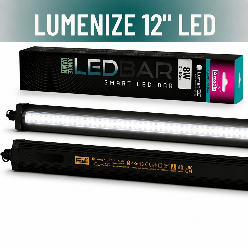 LumenIZE Jungle Dawn LED Bar