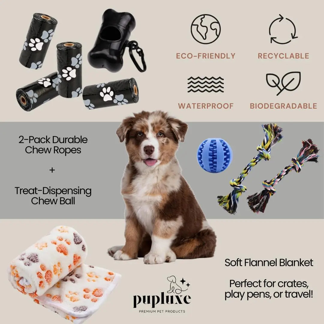 22-Piece Puppy Starter Kit – Training & Care Essentials