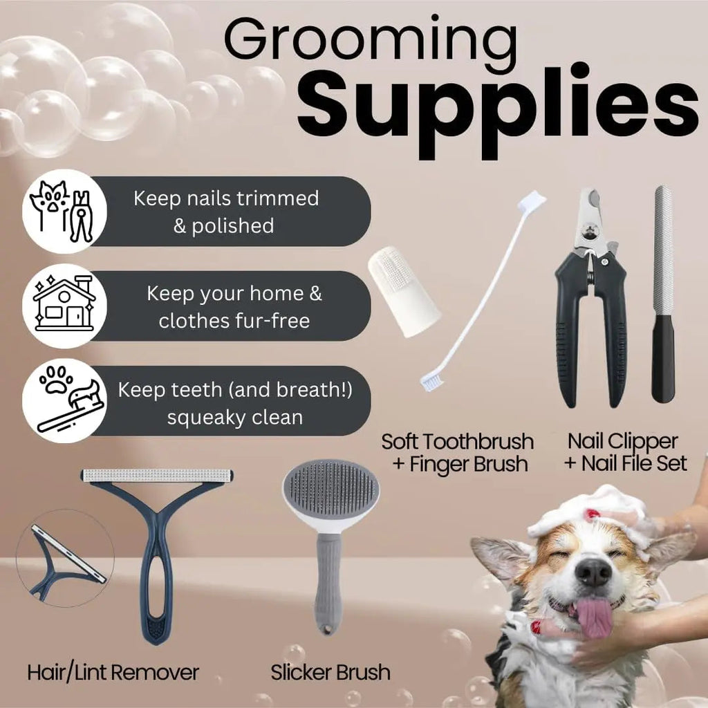 22-Piece Puppy Starter Kit – Training & Care Essentials