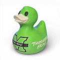 Marshall Thundering Heard Duck