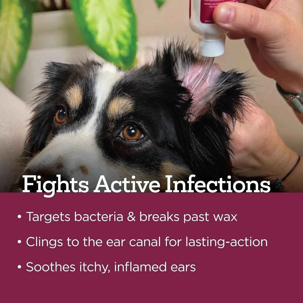 Dog Ear Drops 2oz Itch Relief Otic Infection Support