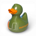 Miami Hurricanes Duck