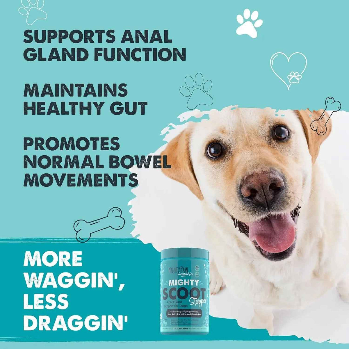 Dog Anal Gland & Digestive Support Fiber Chews – 120 Ct