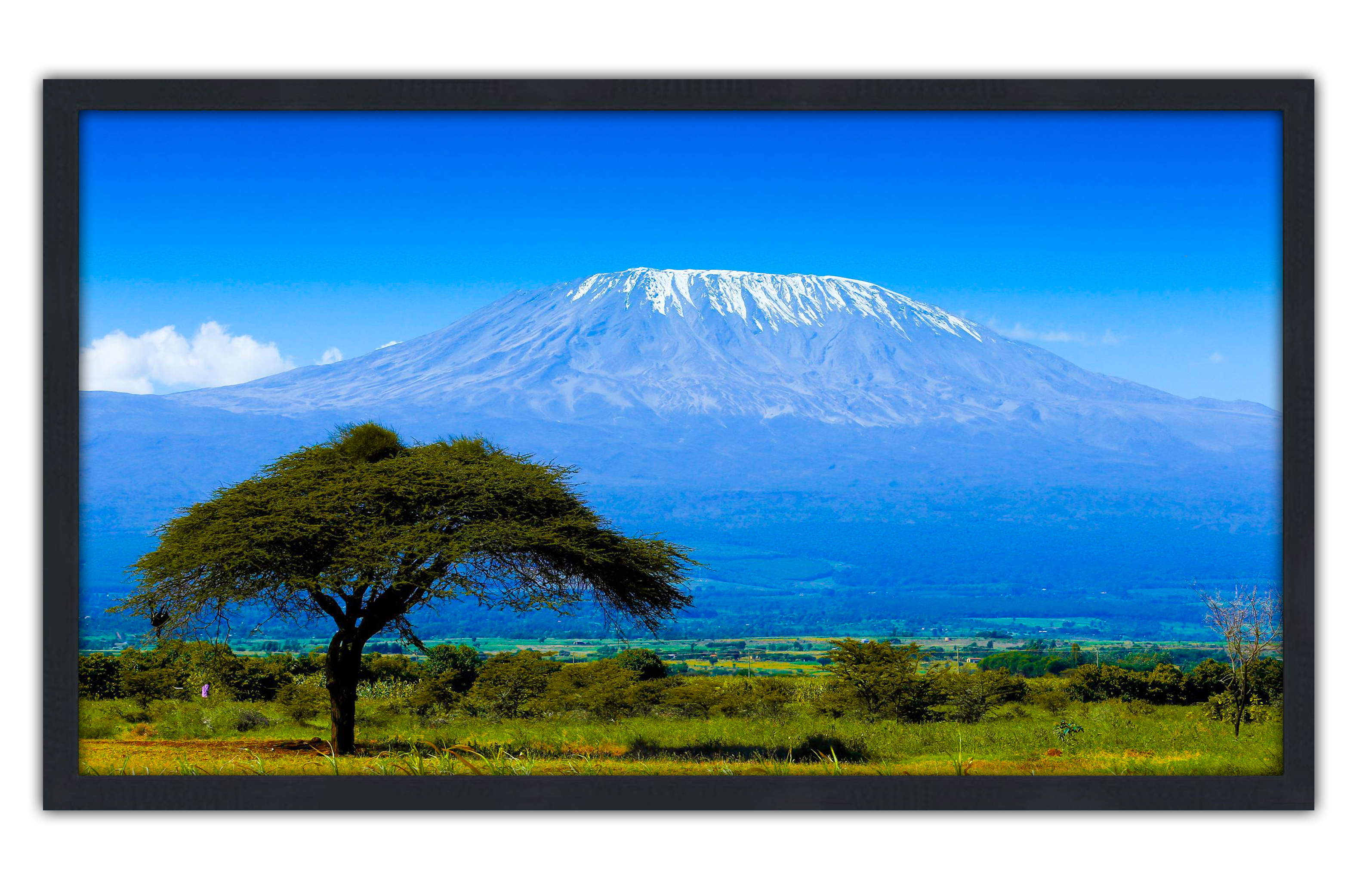 Professionally Framed Mount Kilimanjaro Africa Skyline High-Resolution Panoramic Photo 12x22 Wall Art
