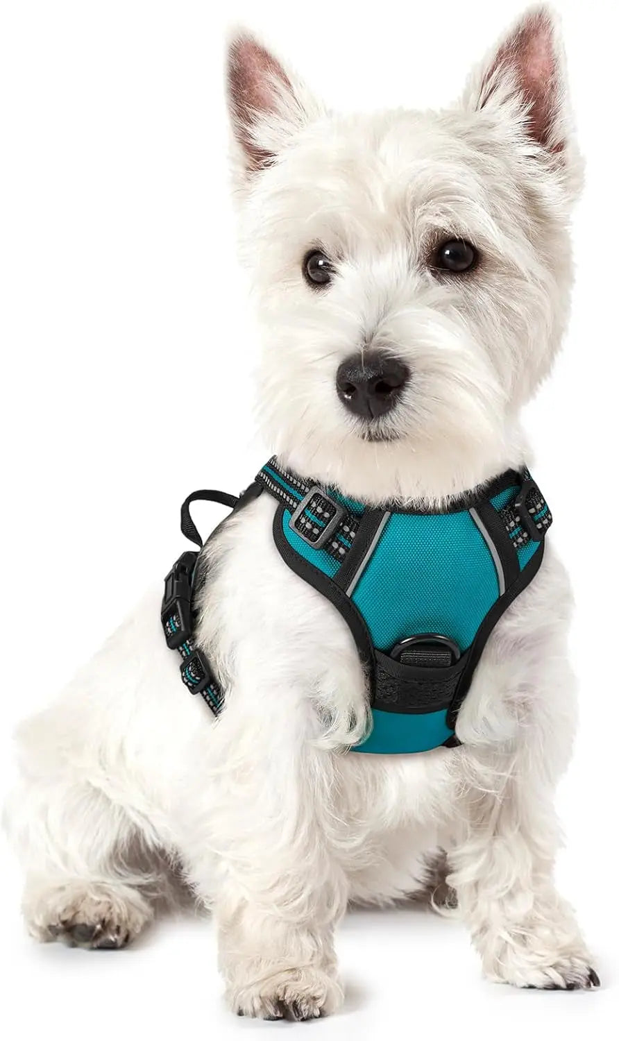 No-Pull Reflective Dog Harness, Heavy-Duty Oxford, Adjustable