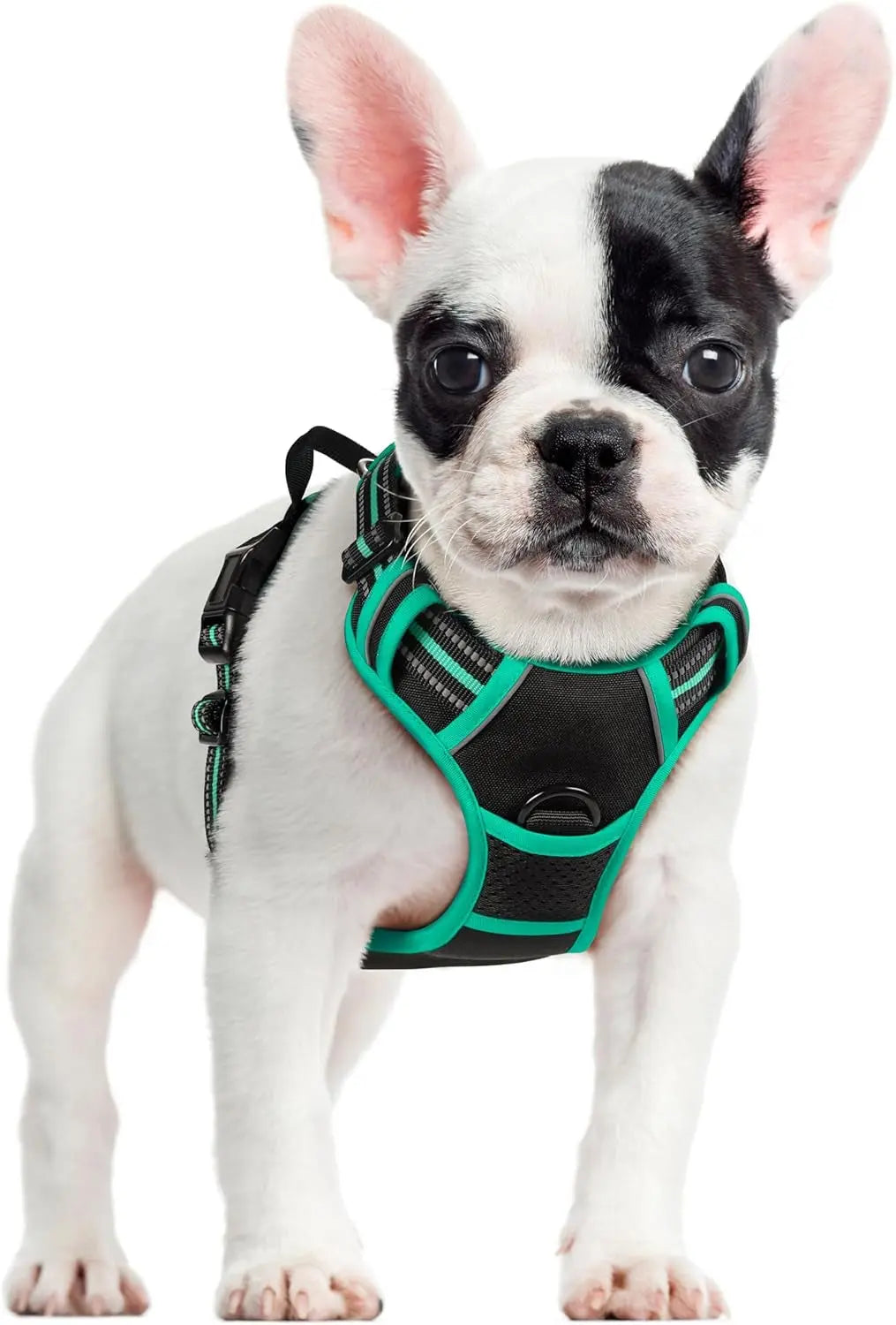 No-Pull Reflective Dog Harness, Heavy-Duty Oxford, Adjustable